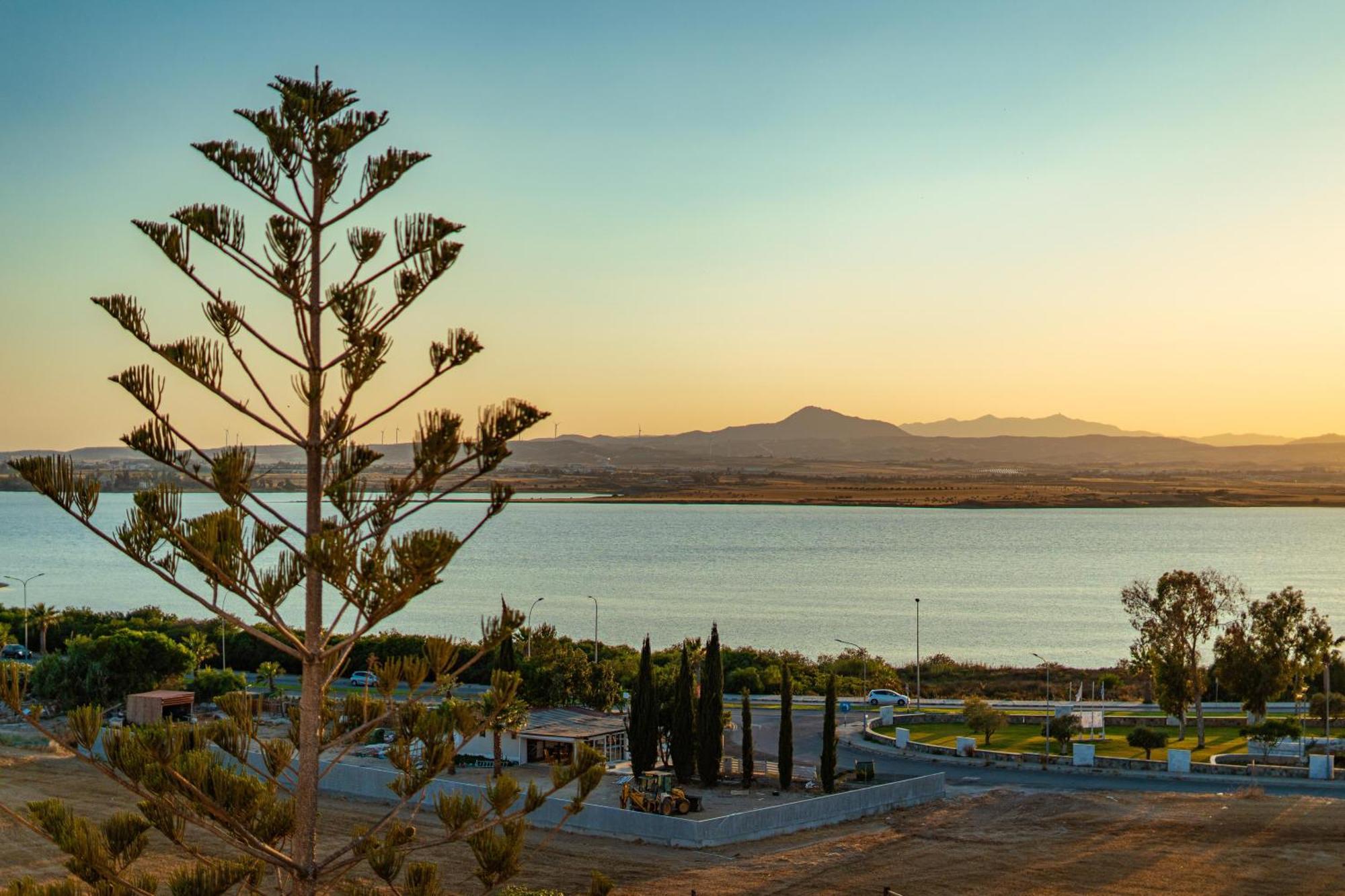 Majestic Sunset Salt Lake Views 300M From Beach Larnaca Eksteriør billede